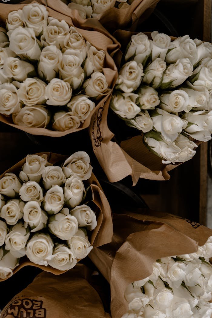 Close-up of bundled white roses perfect for weddings, anniversaries, or romantic gestures.